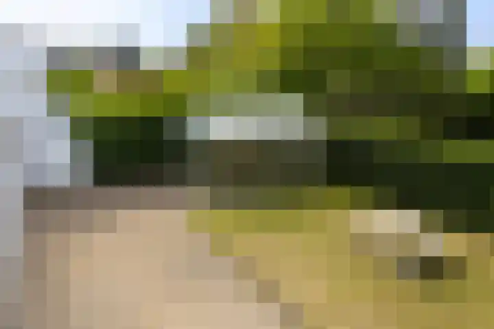 Sint Jozefstraat 12 Boxmeer thumbnail 24