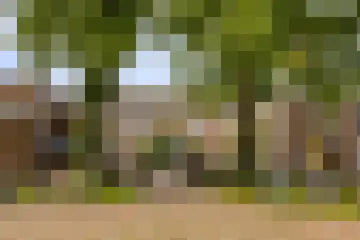 Sint Jozefstraat 12 Boxmeer thumbnail 33