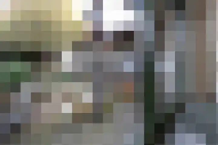 Sint Jozefstraat 28 Stramproy thumbnail 10