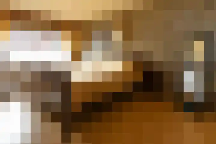 Sint Jozefstraat 28 Stramproy thumbnail 14