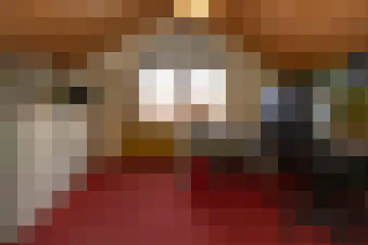 Sint Jozefstraat 28 Stramproy thumbnail 18
