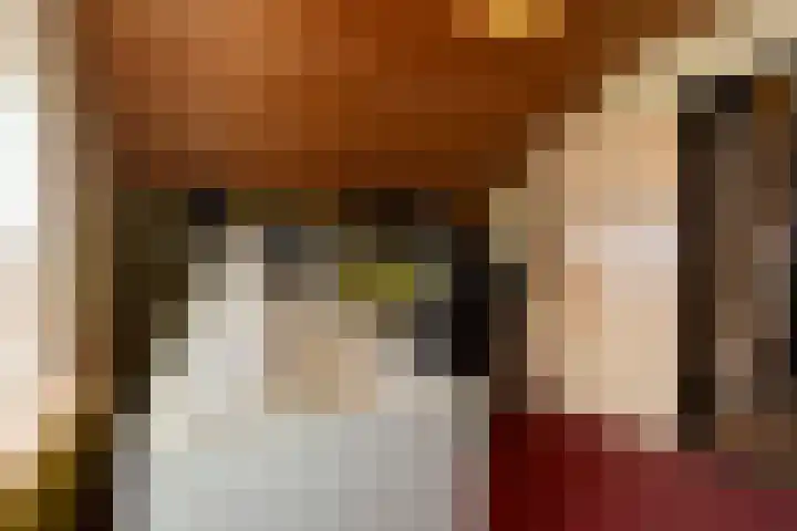 Sint Jozefstraat 28 Stramproy thumbnail 19