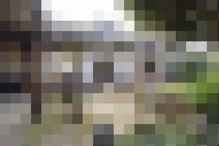 Sint Jozefstraat 28 Stramproy thumbnail 24
