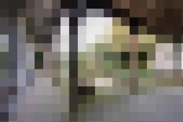 Sint Jozefstraat 28 Stramproy thumbnail 26