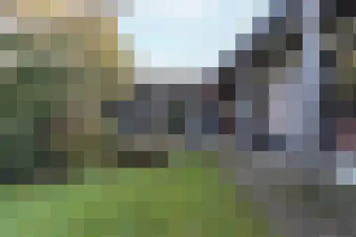 Sint Jozefstraat 28 Stramproy thumbnail 27