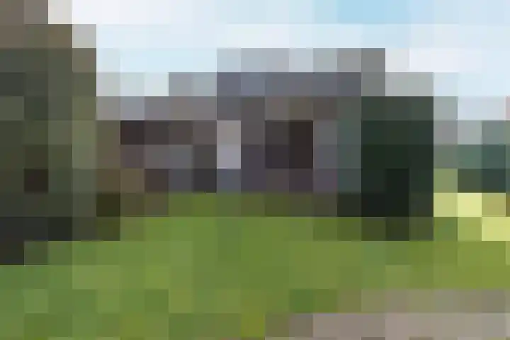 Sint Jozefstraat 28 Stramproy thumbnail 28