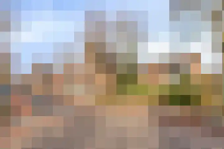 Sint Jozefstraat 31 Deurne thumbnail 35