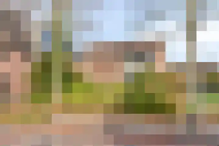 Sint Jozefstraat 31 Deurne thumbnail 6