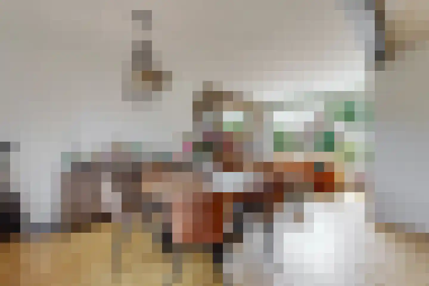 Sint Jozefstraat 9 Swalmen thumbnail 17