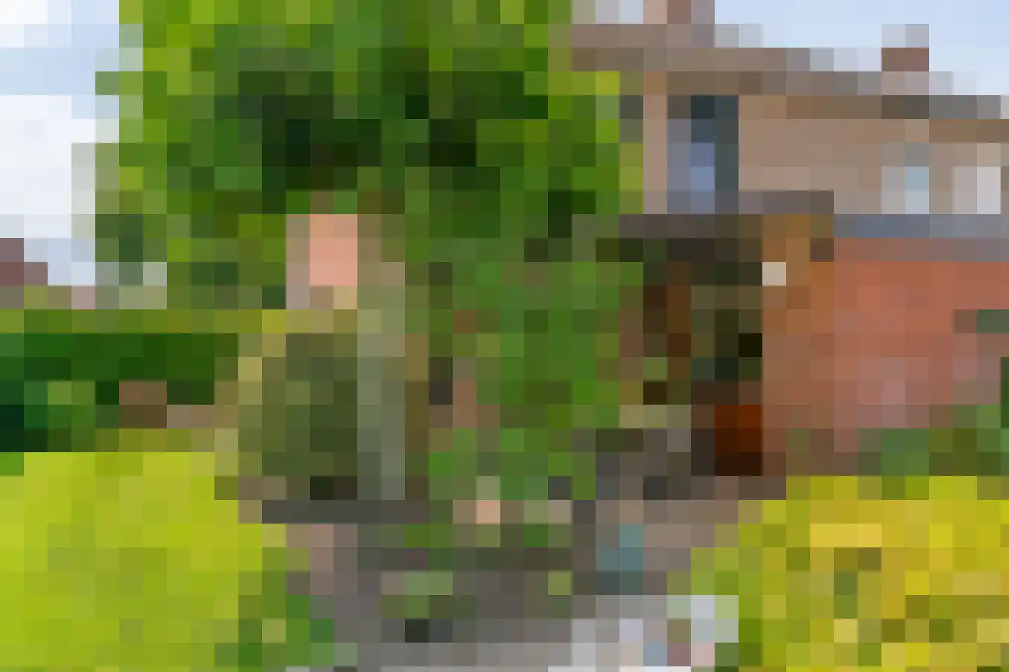 Sint Jozefstraat 9 Swalmen thumbnail 7
