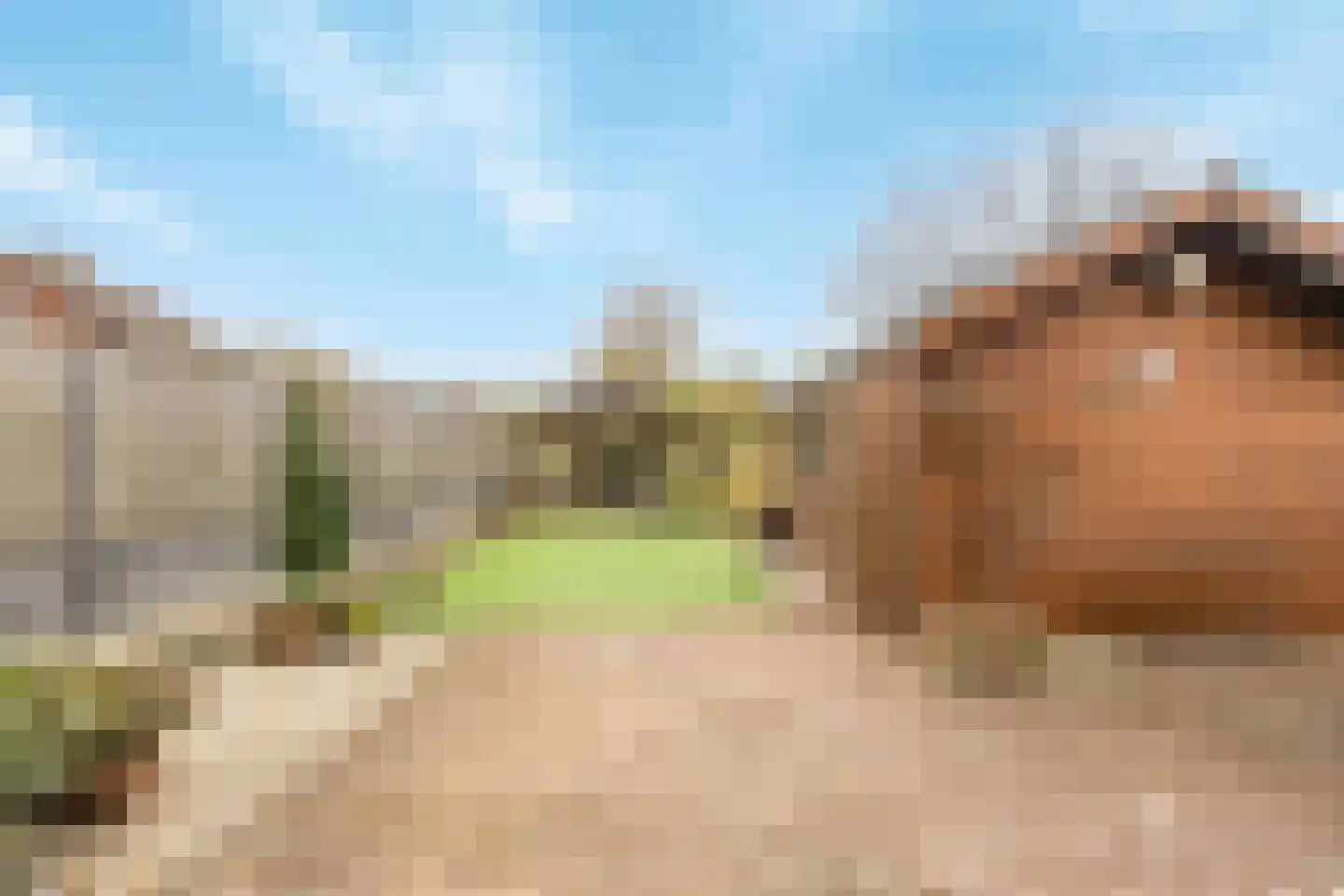Sint Jozefweg 35 Reuver thumbnail 15