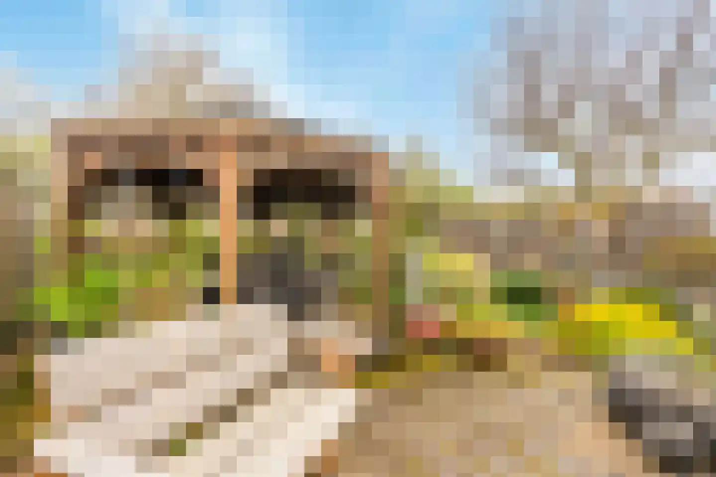 Sint Jozefweg 35 Reuver thumbnail 16