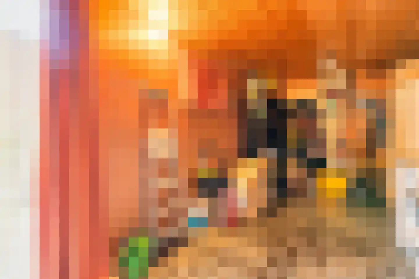 Sint Jozefweg 35 Reuver thumbnail 22