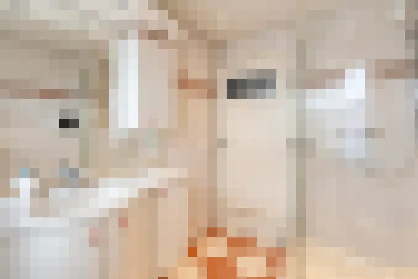 Sint Jozefweg 35 Reuver thumbnail 26