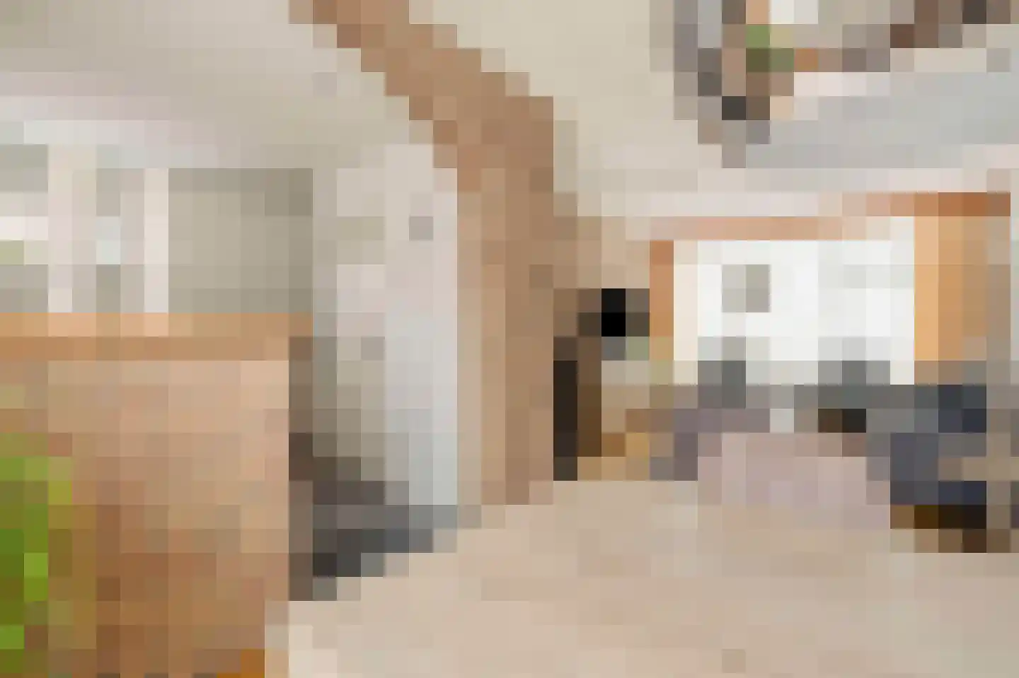 Sint Jozefweg 35 Reuver thumbnail 7