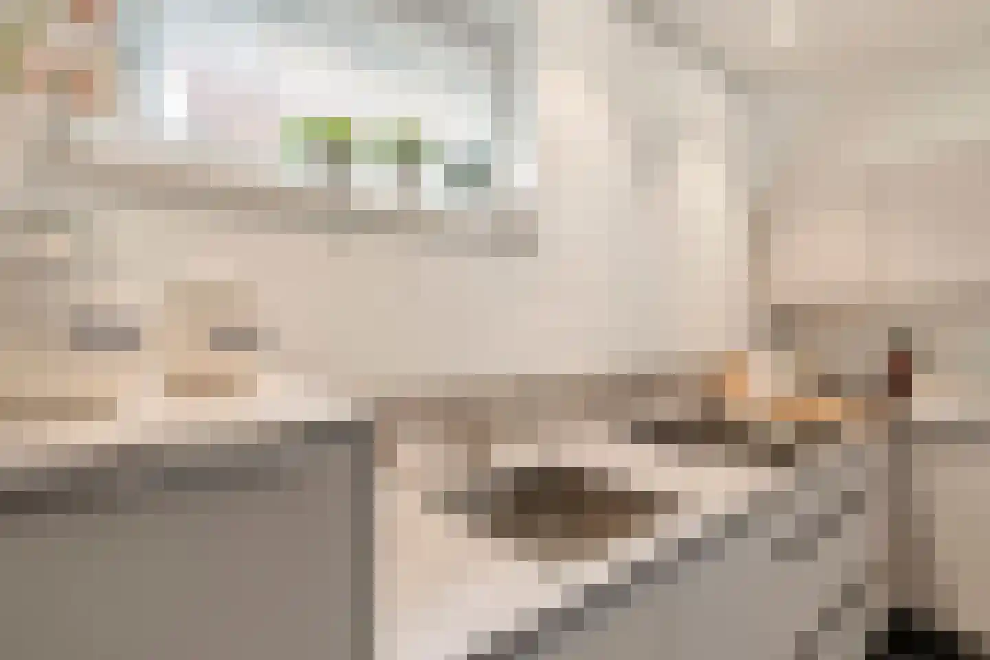 Sint Jozefweg 35 Reuver thumbnail 9