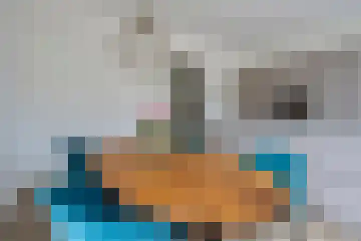 Sint Jozephpad 21 Noordwijkerhout thumbnail 15