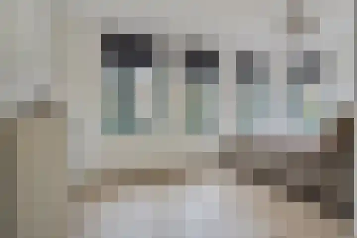 Sint Jozephpad 21 Noordwijkerhout thumbnail 19