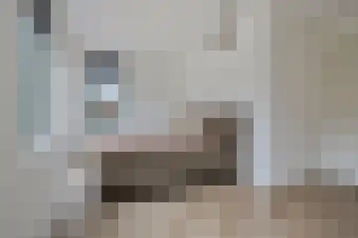 Sint Jozephpad 21 Noordwijkerhout thumbnail 20
