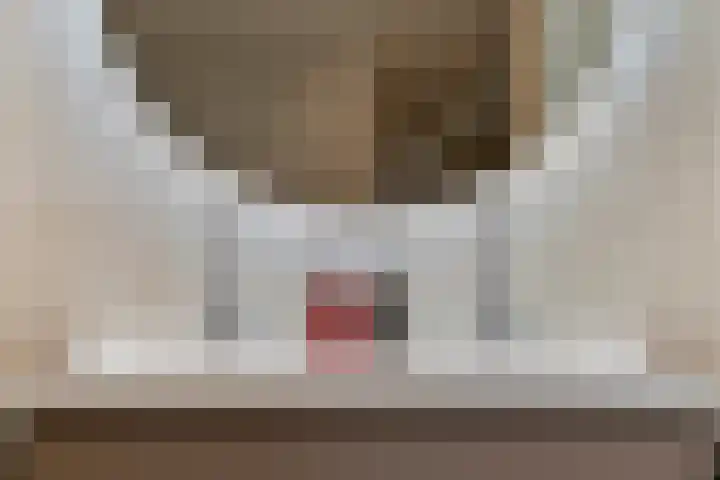 Sint Jozephpad 21 Noordwijkerhout thumbnail 25
