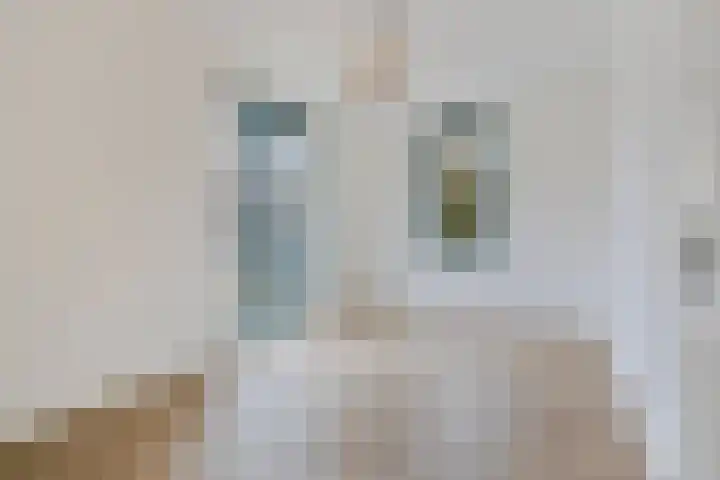 Sint Jozephpad 21 Noordwijkerhout thumbnail 26