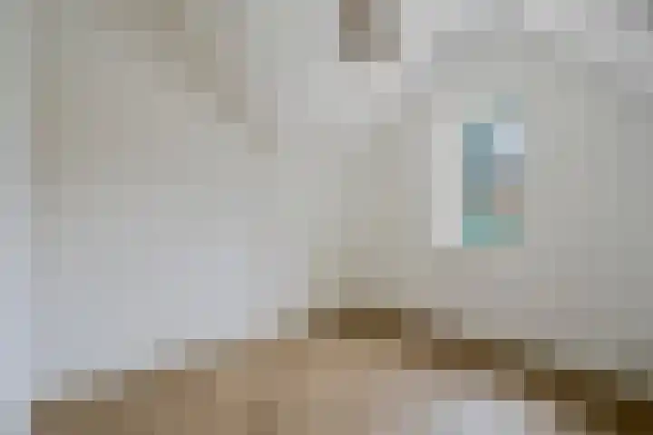 Sint Jozephpad 21 Noordwijkerhout thumbnail 34