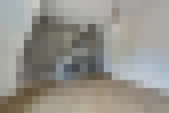 Sint Jozephpad 21 Noordwijkerhout thumbnail 37