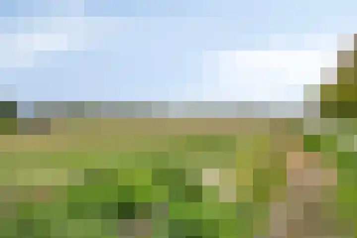 Sint Jozephpad 21 Noordwijkerhout thumbnail 41