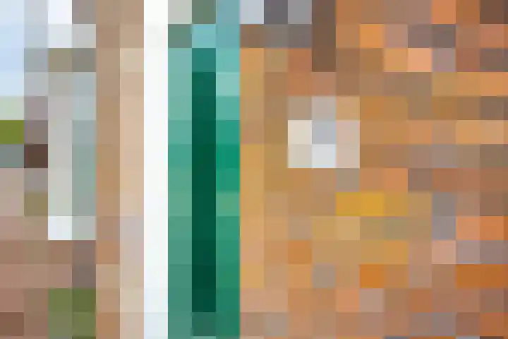 Sint Jozephpad 21 Noordwijkerhout thumbnail 7