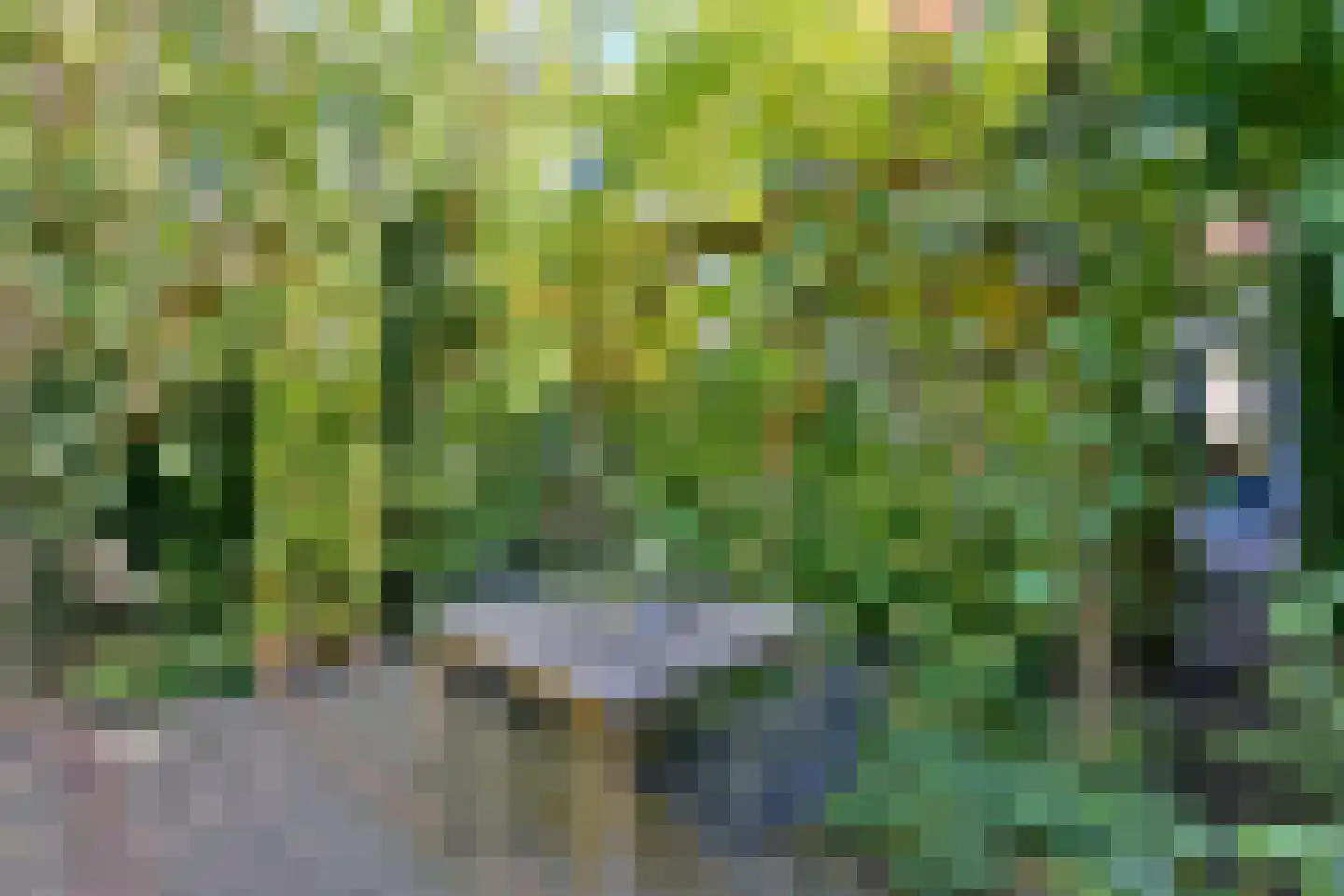 Sint Jurrienstraat 9 Deventer thumbnail 35