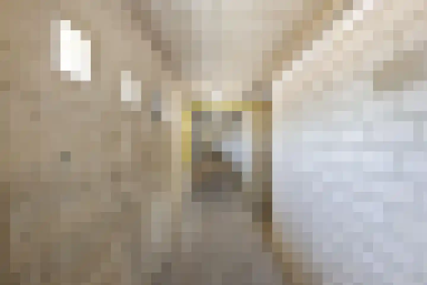 Sint Kruislaan 23 Vlissingen thumbnail 20