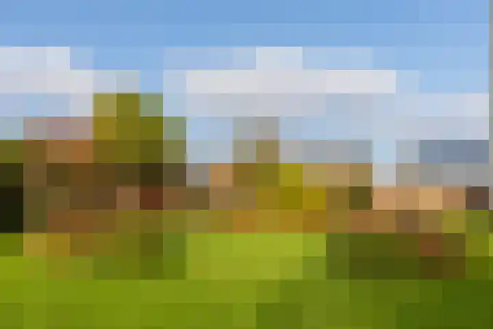 Sint Kruislaan 29 Vlissingen thumbnail 23