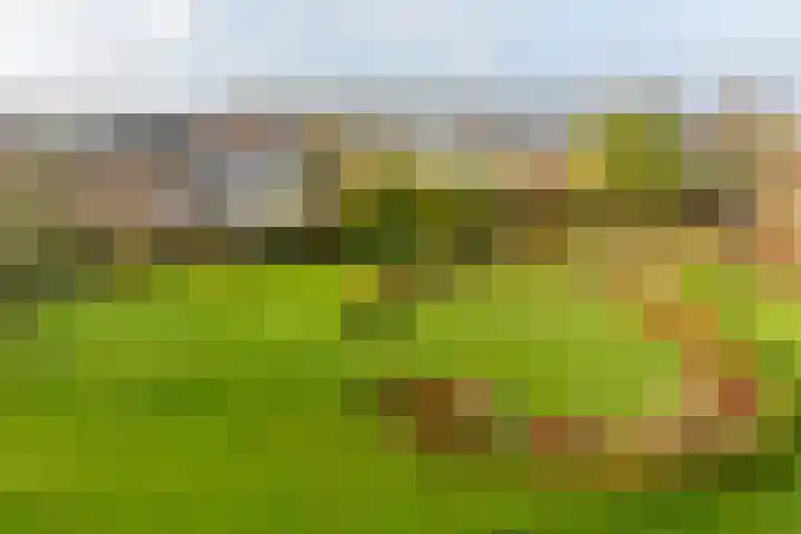 Sint Kruislaan 29 Vlissingen thumbnail 8