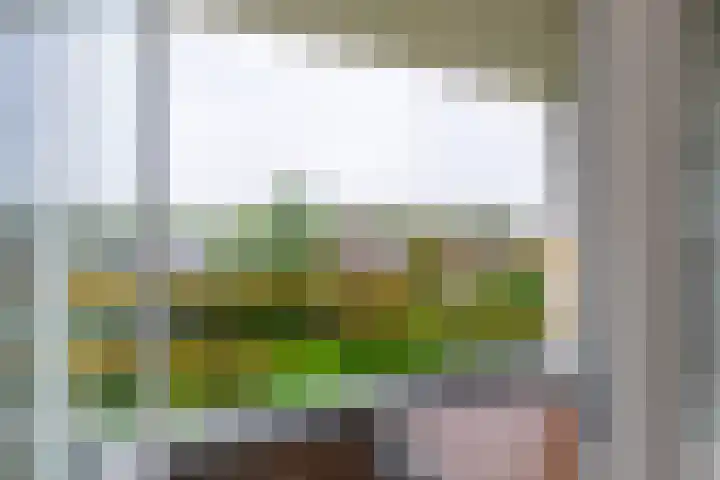 Sint Kruislaan 31 Vlissingen thumbnail 10