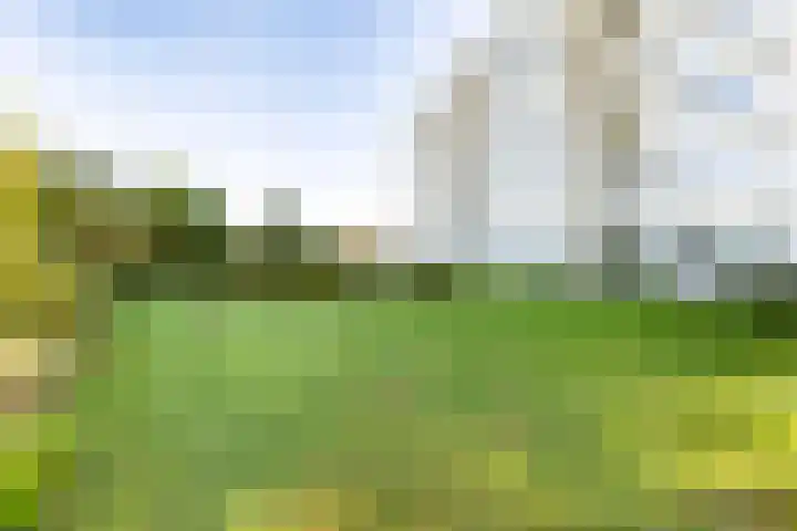 Sint Kruislaan 31 Vlissingen thumbnail 22