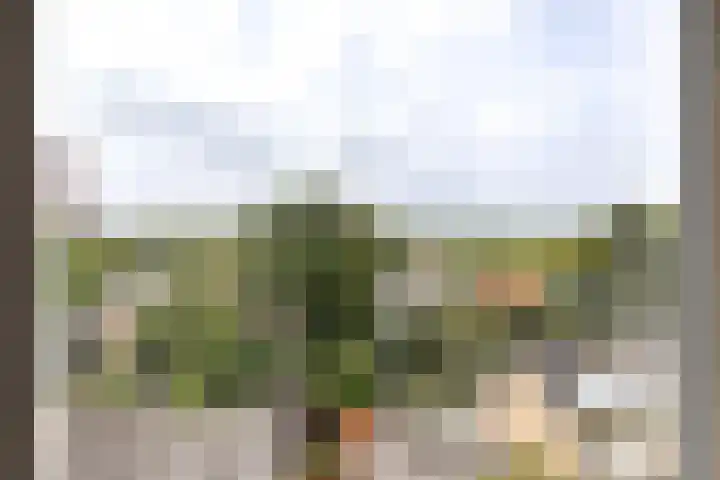 Sint Kruislaan 49 Vlissingen thumbnail 20