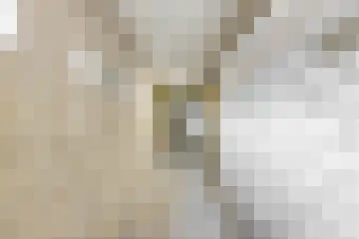 Sint Kruislaan 49 Vlissingen thumbnail 23