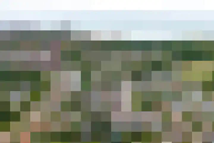 Sint Kruislaan 49 Vlissingen thumbnail 4
