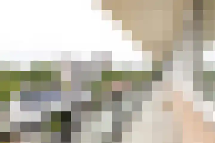 Sint Kruislaan 49 Vlissingen thumbnail 7