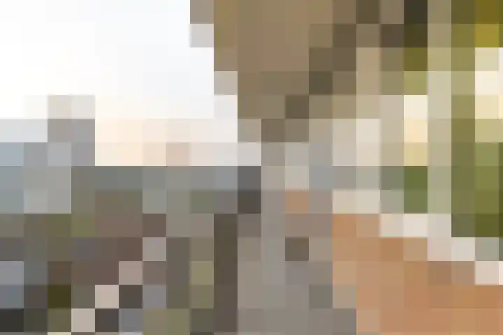 Sint Kruislaan 67 Vlissingen thumbnail 10