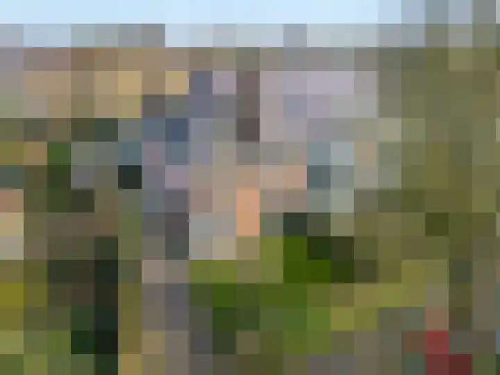Sint Lambertuslaan 23 Maastricht thumbnail 4