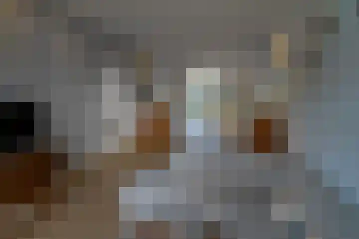 Sint Lambertuslaan 23 Maastricht thumbnail 7