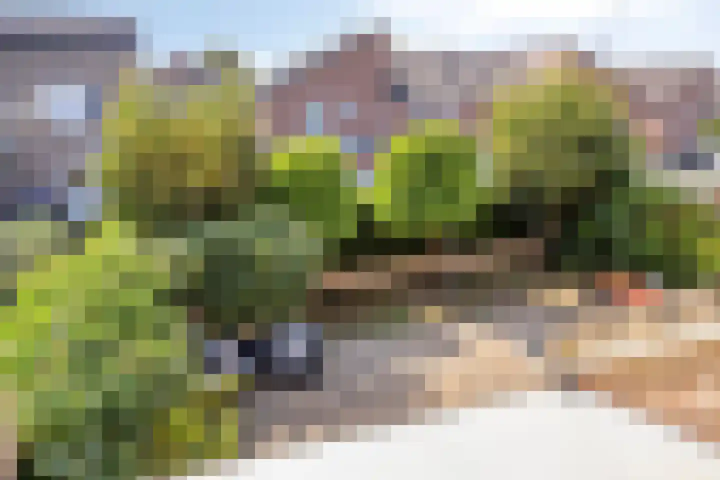 Sint Lambertusstraat 1 Mheer thumbnail 22