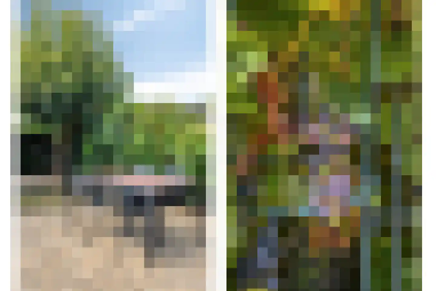 Sint Lambertusstraat 1 Mheer thumbnail 31
