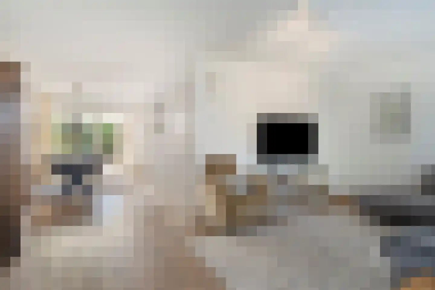 Sint Lambertusstraat 1 Mheer thumbnail 6