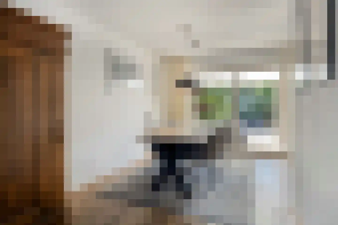 Sint Lambertusstraat 1 Mheer thumbnail 7