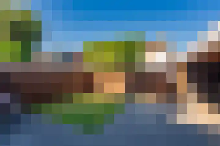 Sint Lambertusstraat 11 Hilvarenbeek thumbnail 27