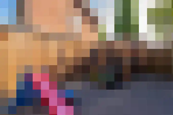 Sint Lambertusstraat 11 Hilvarenbeek thumbnail 36