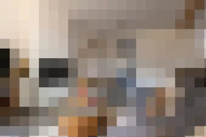 Sint Lambertusstraat 11 Hilvarenbeek thumbnail 5