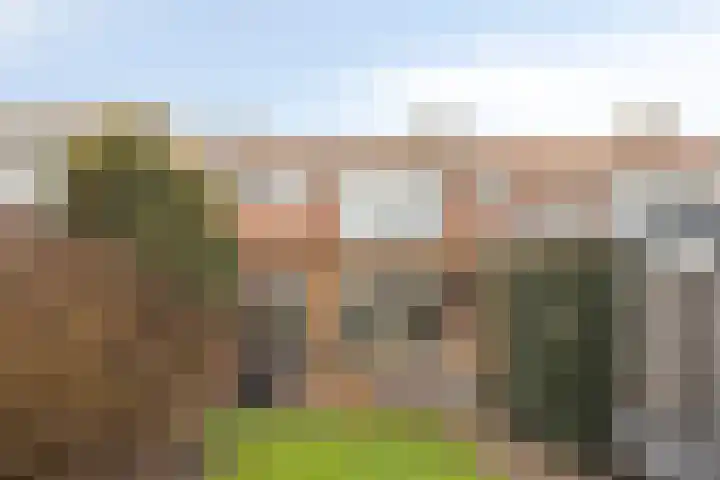Sint Lambertusstraat 17 Oosterhout thumbnail 31